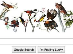 پرنده‌شناس آمریکایی به گوگل رفت