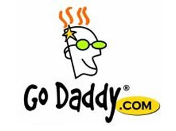 مدیر عامل Go Daddy برکنار شد