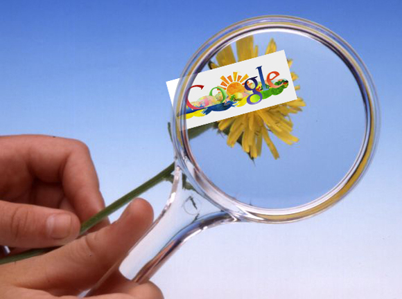رشد قابل ملاحظه درخواست دولت‌های جهان برای حذف اطلاعات از روی گوگل