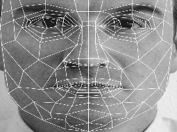 استفاده از نرم‌افزار شناسایی چهره برای امنیت اجتماعی