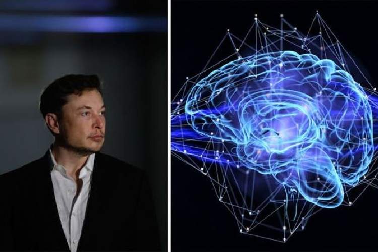 برنامه شروع آزمایش کاشت کامپیوتر در مغز انسان در سال 2020