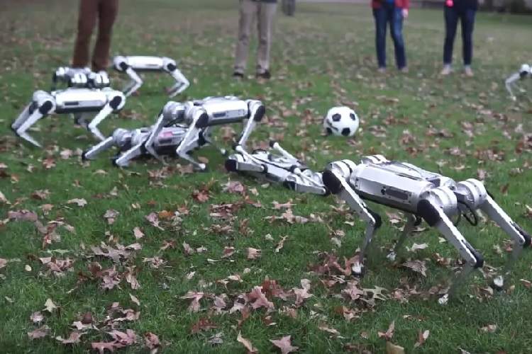 وقتی روبات‌های چیتای ام.آی.تی فوتبال بازی می‌‌کنند + ویدئو