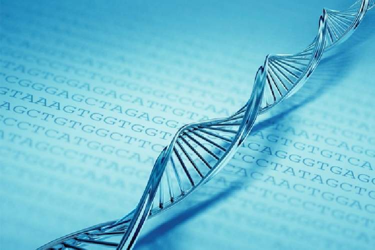 ساخت دستگاهی با امکان ذخیره اطلاعات روی DNA