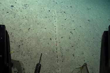 کشف حفره‌های عجیب و رازآلود در اعماق اقیانوس اطلس
