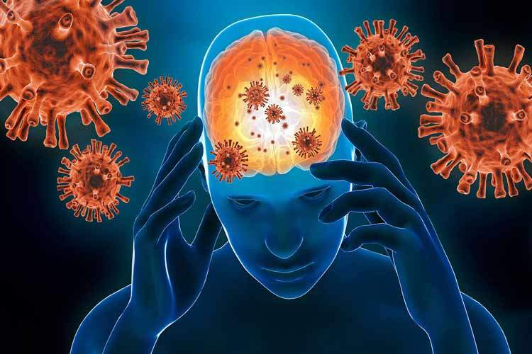 ویروس کرونا چگونه به مغز می‌رسد؟