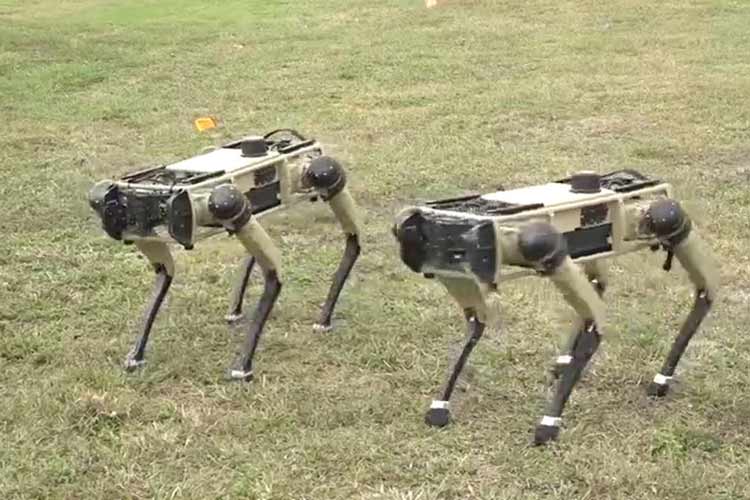 سگ ‌ربات برای گشت‌زنی در ایستگاه فضایی اعزام می‌شود