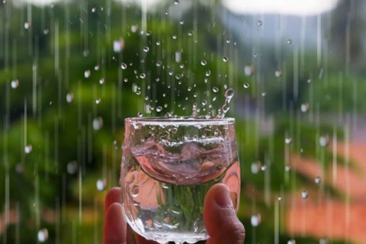 آیا می‌توانیم آب باران را با خیال راحت بنوشیم؟