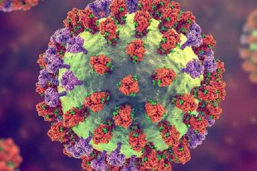 ویروس‌ها دوباره با احتمال ایجاد آلزایمر مرتبط تشخیص داده شدند