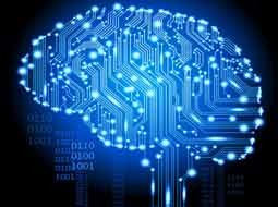 برای ساخت پردازنده‌های جدید از مغز انسان الگوبرداری می‌کند