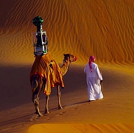 شترسواری گوگل در بیابان امارات +عکس