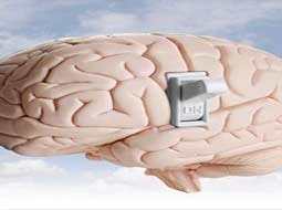 ساخت نمونه اولیه کارت‌های حافظه پرسرعت با الهام از مغز انسان