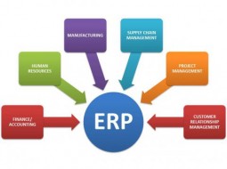 سیستم های برنامه ریزی منابع سازمانی (ERP)