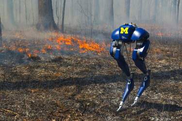 نخستین روبات دوپا با قابلیت راه رفتن روی آتش + ویدیو