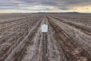 یک شرکت استرالیایی شبکه IoT برای کشاورزان ایجاد می‌کند