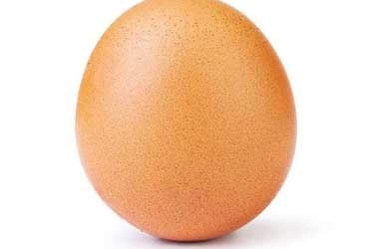 تخم مرغی که در اینستاگرام رکورد زد!