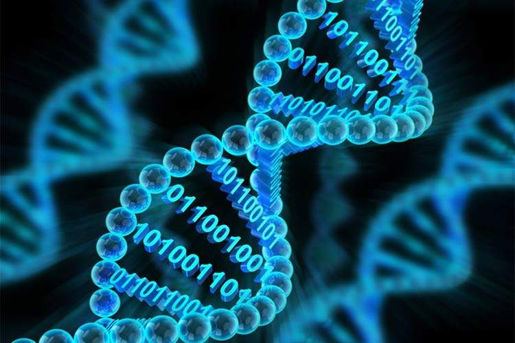 ذخیره اطلاعات روی رشته‌های DNA