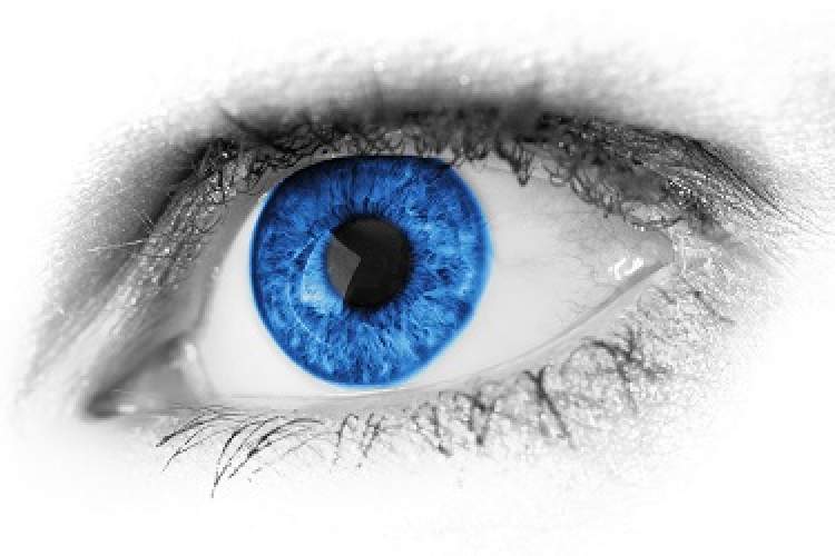 عرضه "Windows Vision Skills" برای توسعه بینایی کامپیوتر