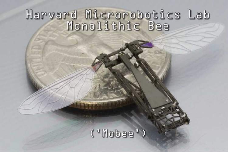 ساخت نخستین نسل از روبات‌های زنبور توسط دانشگاه هاروارد