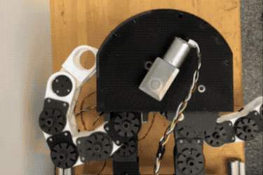 روبات ویژه ام‌آی‌تی با قابلیت حیرت‌انگیز حرکتی + ویدئو