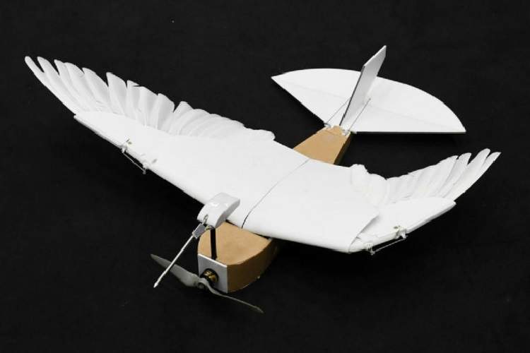 ساخت پهپاد انعطاف‌پذیر با الهام از کبوترها