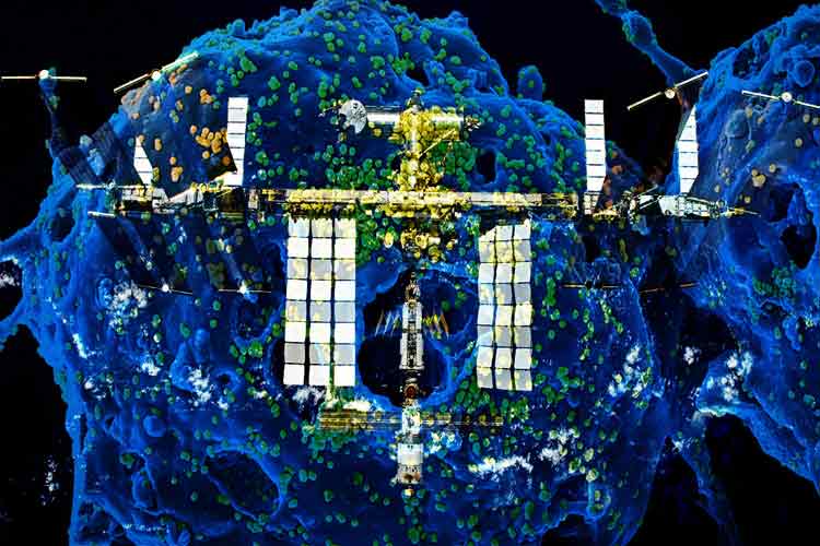 آیا ایستگاه فضایی بین‌المللی به ویروس کرونا مبتلا می‌شود؟