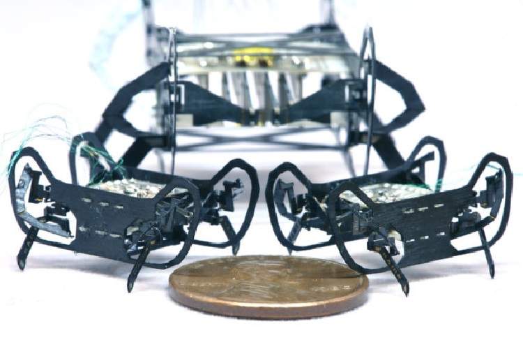 ساخت روبات حشره‌ای در اندازه یک سکه توسط دانشمندان هاروارد