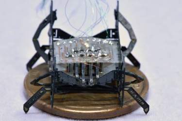 ساخت روبات حشره‌ای در اندازه یک سکه توسط دانشمندان هاروارد