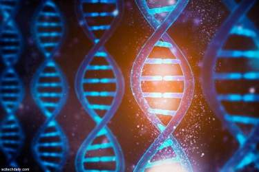 پژوهشگران با استفاده از نور عملکردهای DNA را فعال و غیرفعال کردند