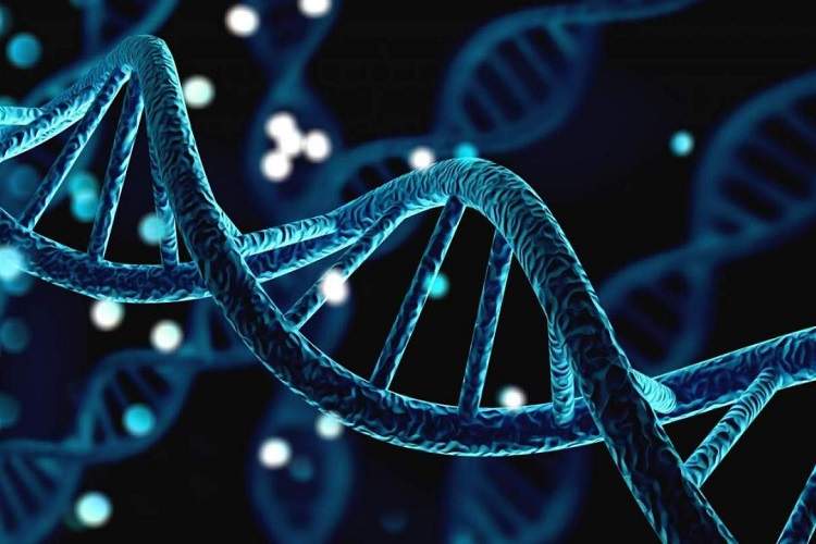 تحقیقات مایکروسافت در حوزه ذخیره سازی بر روی DNA به مرحله جدید مهمی رسید