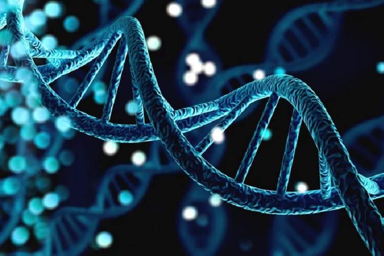 دانشمندان موفق به رمزگشایی ژنوم انسان شدند
