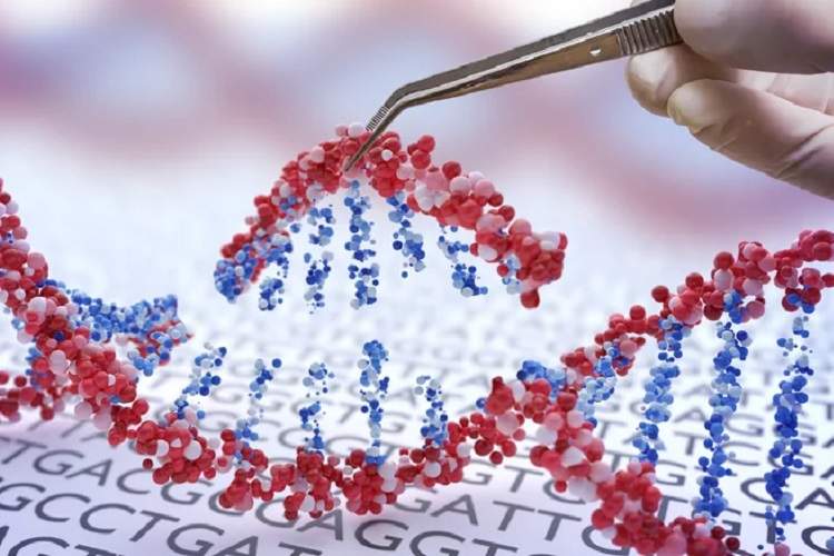 یافته‌های جدید درباره امکان ریشه‌یابی علل سرطان‌ها در DNA