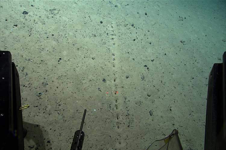 کشف حفره‌های عجیب و رازآلود در اعماق اقیانوس اطلس