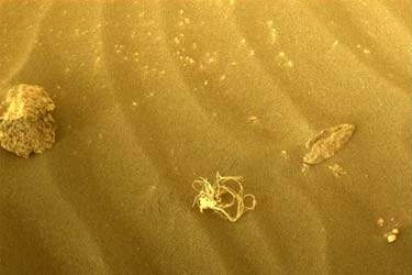 کشف شیئی شبیه به اسپاگتی بر سطح مریخ