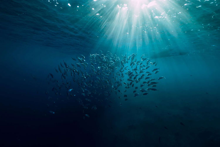 اقیانوس اسرارآمیزی که در اعماق زمین پنهان است
