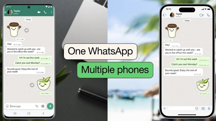 WhatsApp account across multiple devices