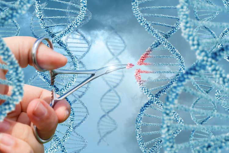 چگونه ژنتیک انتخاب‌های زندگی ما را تعیین می‌کند؟ - تی ام گیم