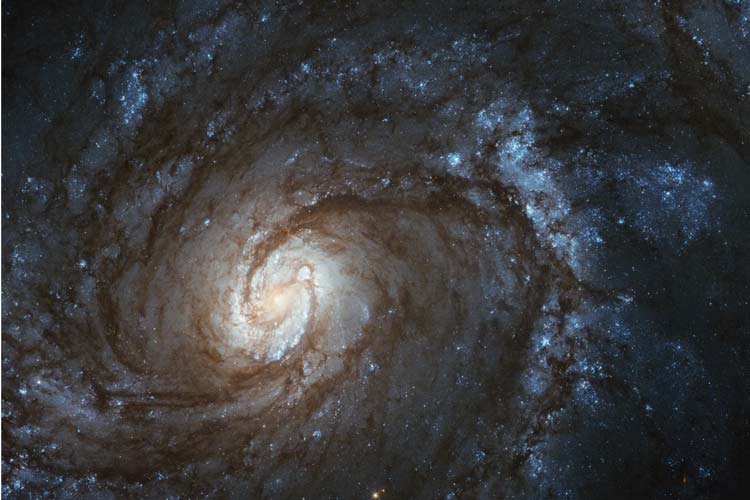 M100: یک کهکشان مارپیچی با طرحی جادویی