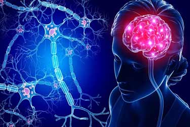 دانشمندان نحوه پیوند و ارتباط میان ذهن و بدن را در مغز انسان شناسایی کردند