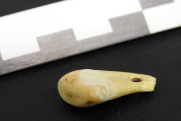 کشف دی‌ان‌ای باستانی انسان در گردنبند ۲۵۰۰ساله