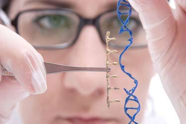چگونه ژنتیک انتخاب‌های زندگی ما را تعیین می‌کند؟