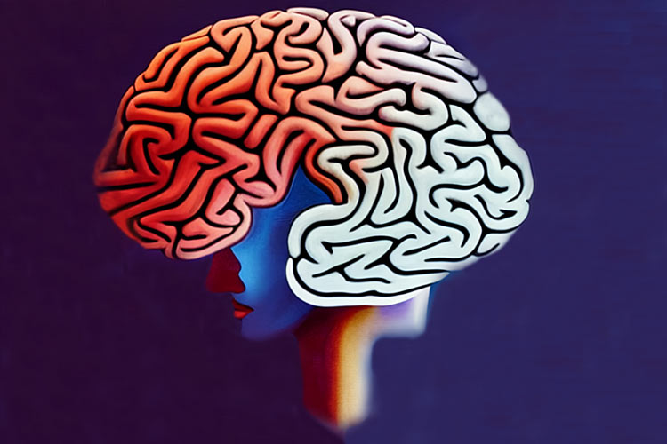 آیا واقعا از ۱۰ درصد مغز استفاده می‌کنیم؟