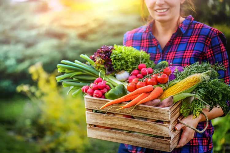 سلامت ریه‌ها با مصرف سبزیجات