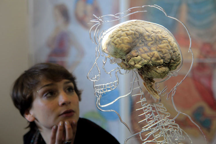 چرا مغز انسان‌ها در مقایسه با جثه‌شان بزرگ است؟