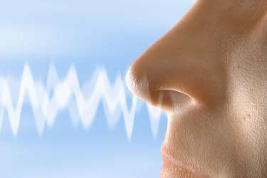 هر سوراخ بینی پیام بویایی مجزایی به مغز می‌فرستد
