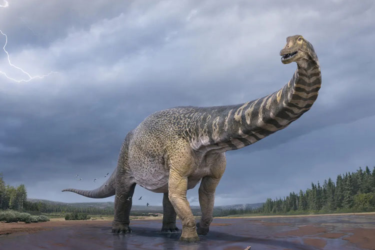کشف راز نهفته در «حالت مرگ»‌ دایناسورها