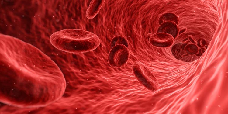 در بدن انسان چه مقدار خون وجود دارد؟