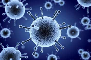 کشف پادتن‌های جدیدی که در برابر بسیاری از ویروس‌های آنفلوانزا موثرند