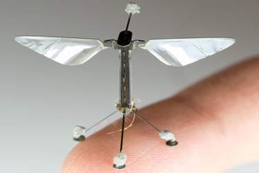 ربات پرنده؛ جدیدترین ابزار جاسوسی