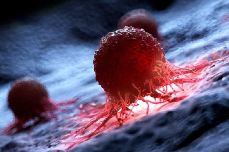نابودی  99 درصد از سلول‌های سرطانی با استفاده از مولکول‌های ارتعاشی