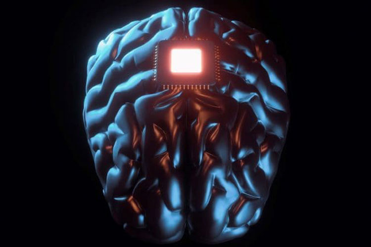 نگاهی به رقبای شرکت نورالینک ایلان ماسک در ساخت رابط‌های مغز-رایانه